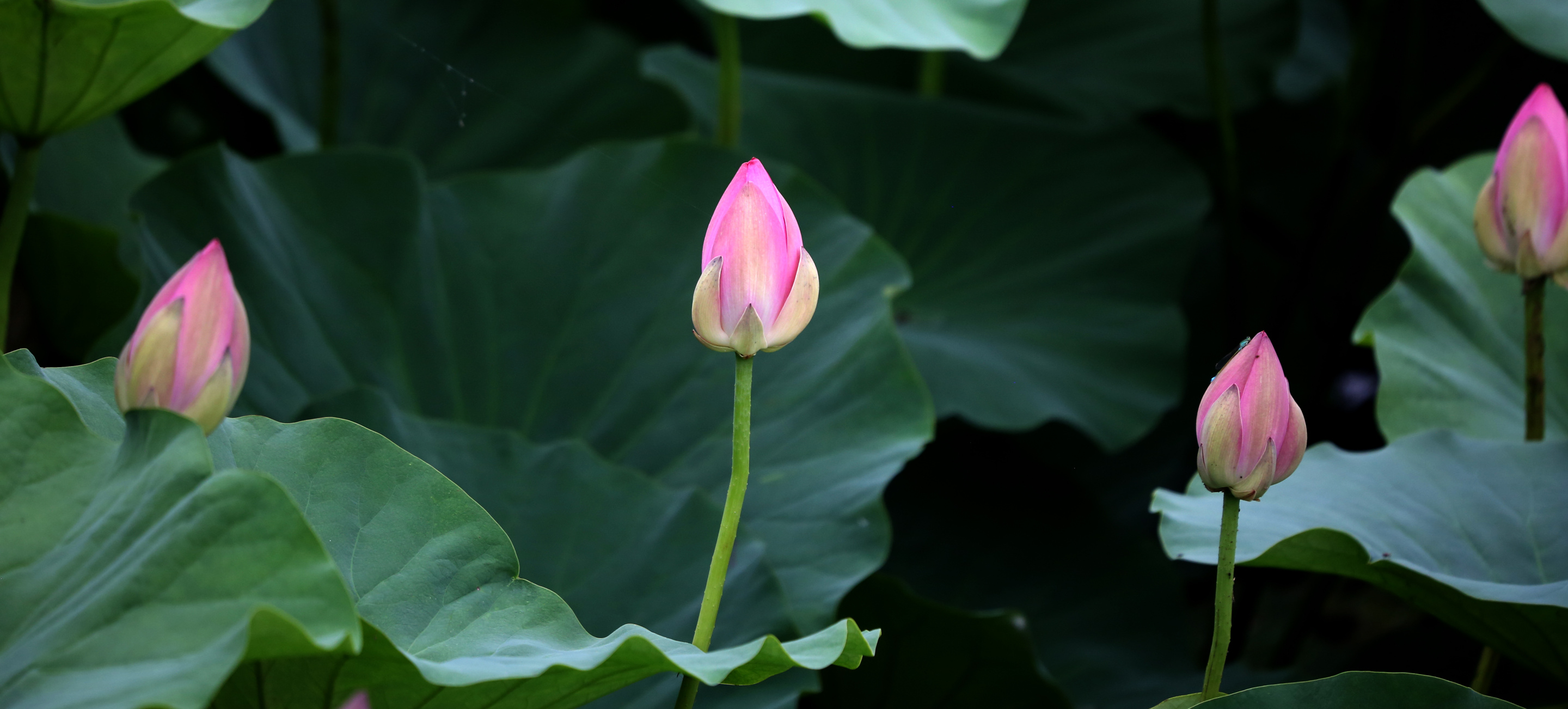 J69A8302.jpg