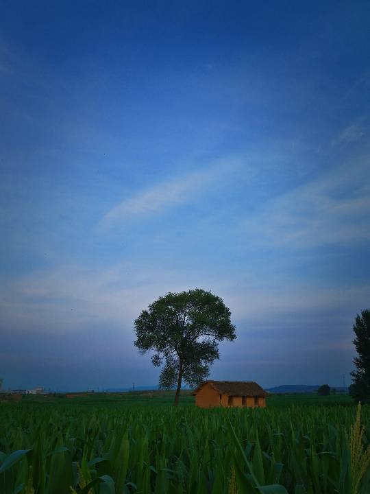 072336yl5mgglpjpvdlgk9.jpg