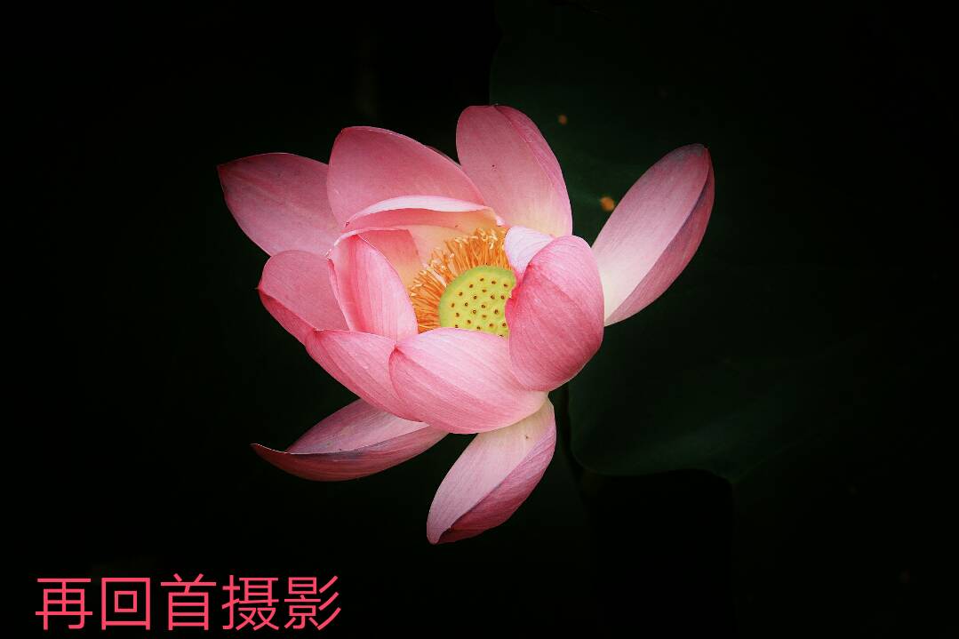 122252d9fi33febi81fbhm.png
