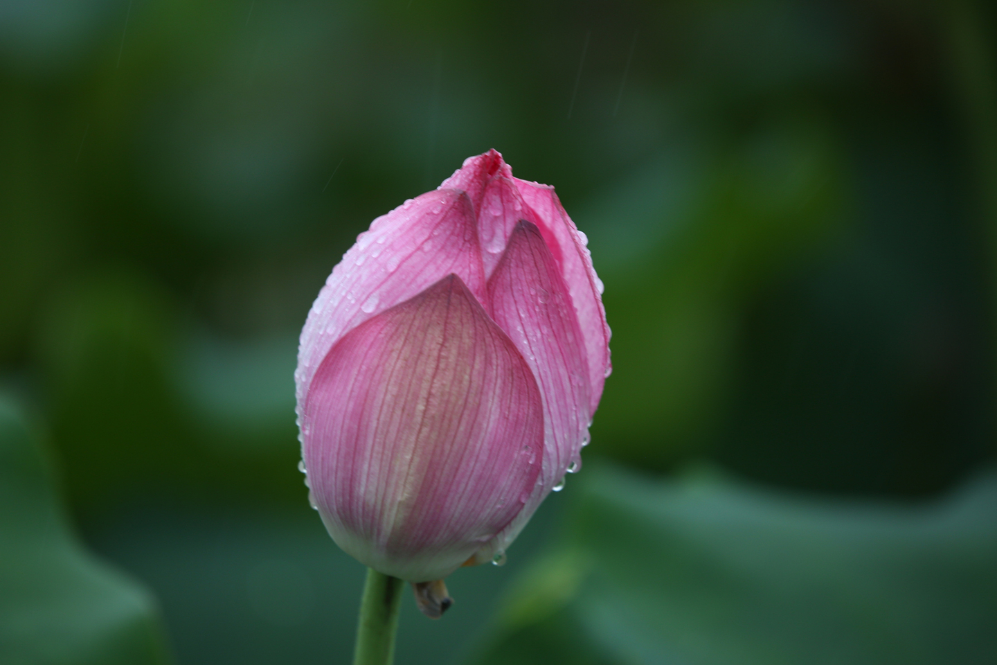 J69A8836.JPG