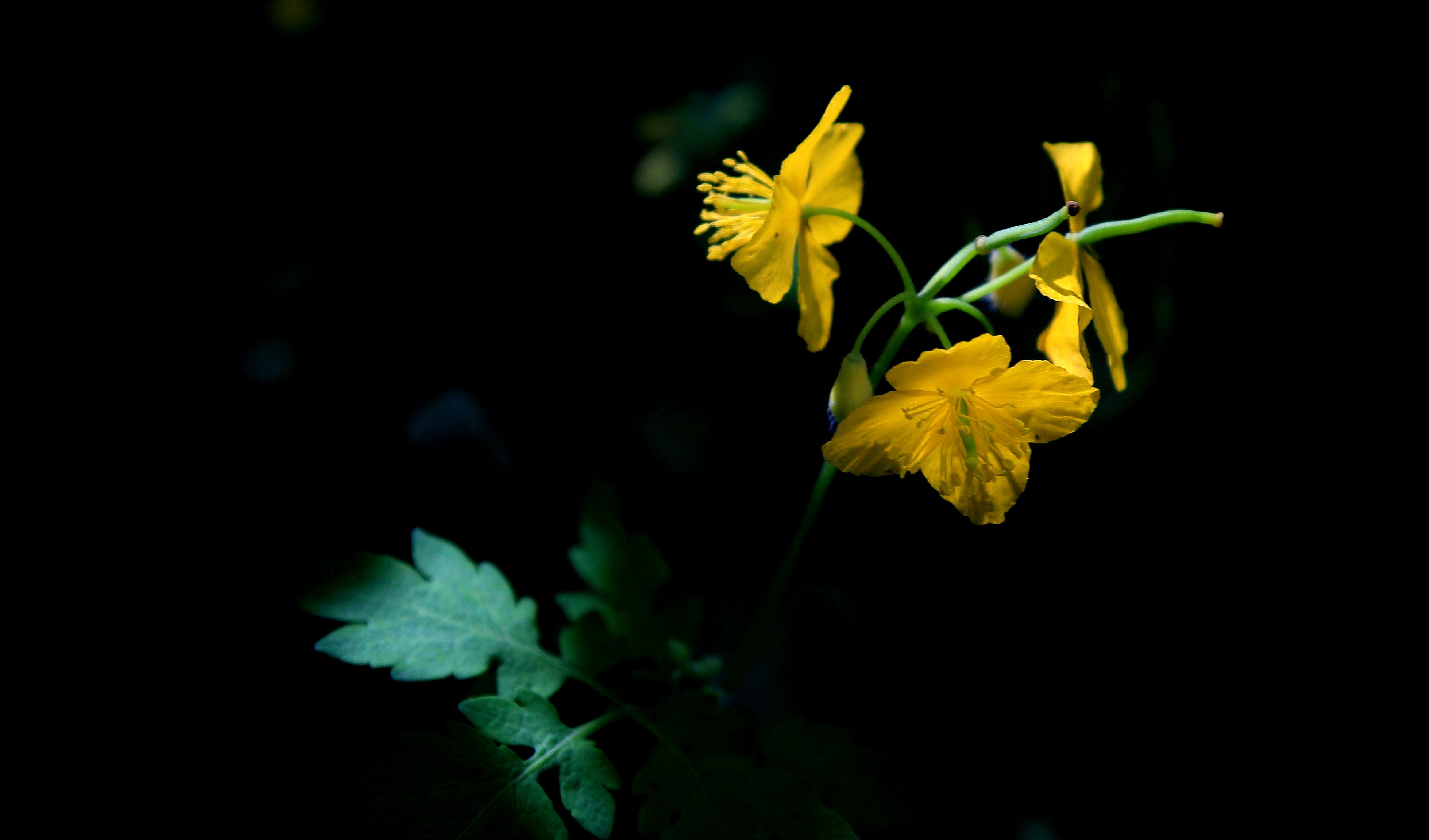 2Z7A8122_.jpg